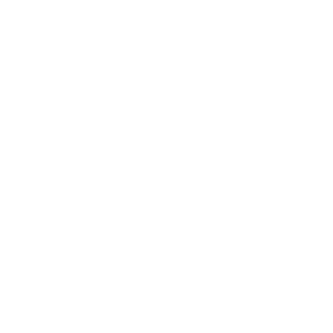 tokopedia logo